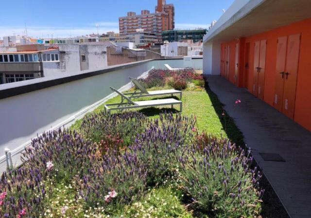 Zen Garden Apartment Las Palmas de Gran Canaria Exterior foto